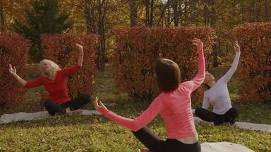 女性集团冥想瑜伽实践秋天公园女瑜伽户外锻炼公园快乐女人放松户外瑜伽培训